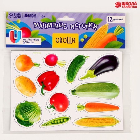 Magnetic game "Vegetables"-3