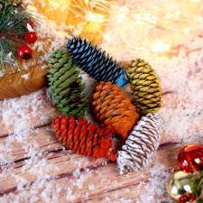 Set of spruce cones for decor 