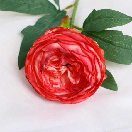 Artificial flowers "Pijon peony" d- 8 cm 45 cm, pink red-1