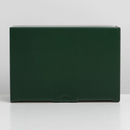 Gift folding box, packaging, "green", 22 x 15 x 10 cm-5