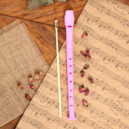 Music Life Blockflate, Pink, German System, Soprano, 30 cm-1