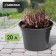 Pot for seedlings, 20 l, d = 35.5 cm, h = 30.5 cm, black, Greengo