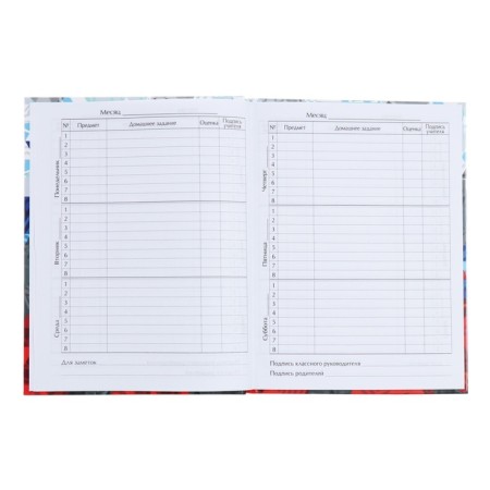 Universal diary for grades 1-11, "Russia Geometry", solid cover 7BC, glossy lamination, 40 sheets-6