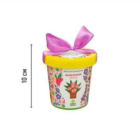 Set for creativity "Pot" "Balzamin. Cutie"-5