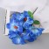 Bouquet "Adenium Extra Galant" D-14 cm 30 cm, mix