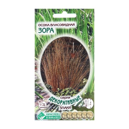 Sedge seeds of the sedge "Zora", 5 pcs