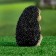 Garden figure "Hedgehog with cherries" 13cm