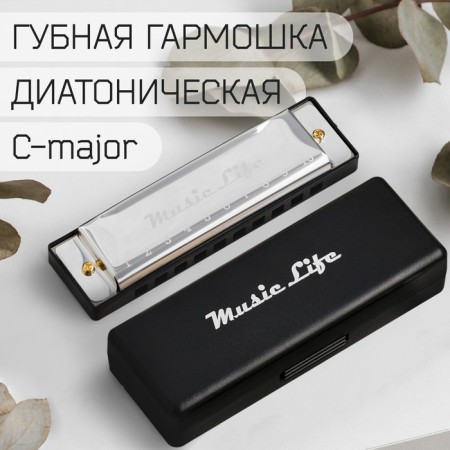 Music Life's Glublya, Diatonic, C-Major, with a case, silver