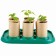 Set of game "Gardener", for growing seedlings, plants and flowers