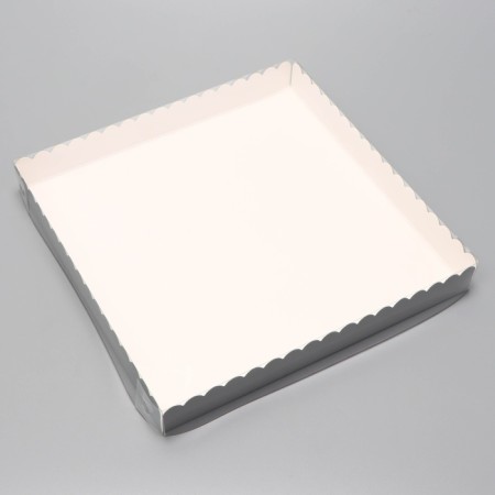 Box for cookies, silver, 25 x 25 x 3 cm-2