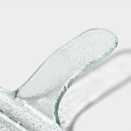 Glass Serving Magistro "Avis", 29.5 × 15.5 × 4 cm-4