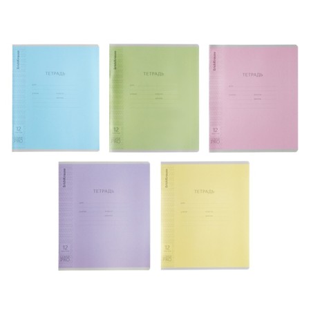 Notebook 12 sheets frequent oblique in the Erichkrause line "Coverpro classics", with a plastic cover, 5v, mix-1