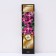 Clematis botanical suite (for cutting) "Inspiresh", 1 pc, tube, spring 2025