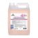 Prosept Crystal Rinser air conditioning, exotic flowers, concentrate, 5 liters