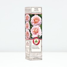 Seedling rose Parkovaya 