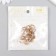Buttons plastic for creativity on the leg "Flower with Strose" set 15 pcs gold 1.5x1.5 cm