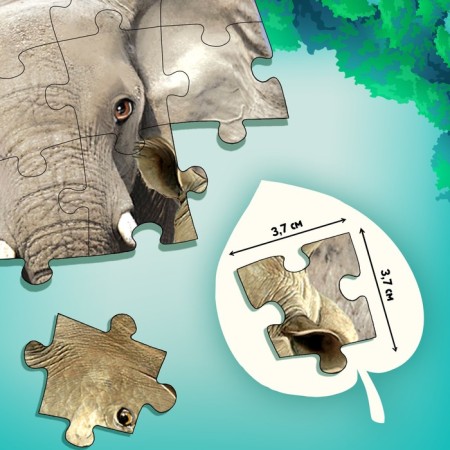 The training set "Animals of our planet", mini-encyclopedia and puzzle, 88 elements-6