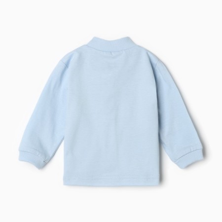 Blood blouse, blue color, height 56 ​​cm-3