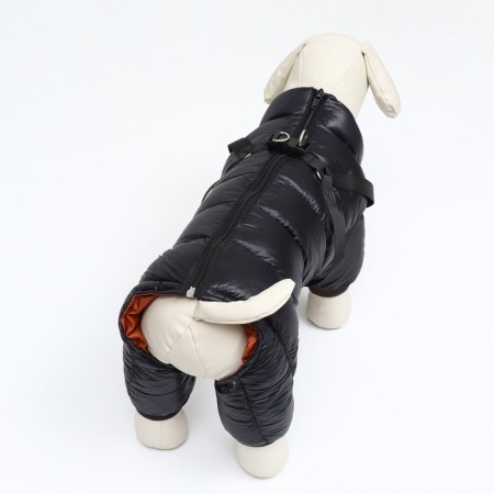 Kombinson for dogs with a slope "Moden", size 10 (DS 25, OG 34, Osh 24 cm), black-2