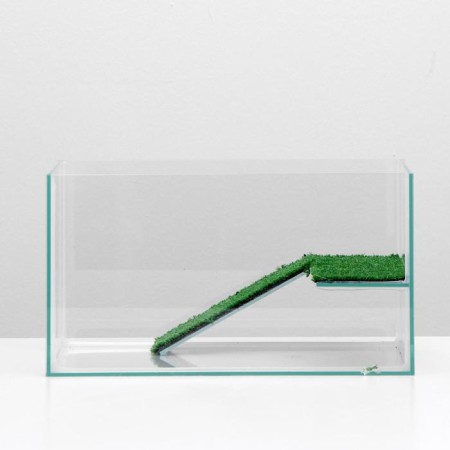 Terrarium for turtles 25 liters, without a lid with a shelf and a ladder, 40 x 29 x 22 cm-1