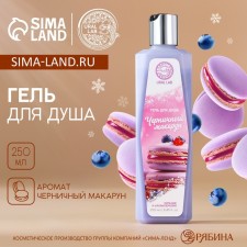 Shower gel, 250 ml, aroma of blueberry makarun, Aroma Sound by Ural Lab