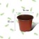 Pot for seedlings, 2 l, d = 16.5 cm, h = 13.5 cm, Greengo