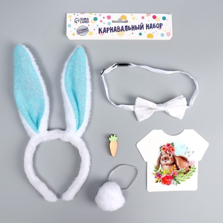 The carnival costume "Cutie" thermonacleka, rim, butterfly, brooch, tail, mix-2