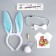 The carnival costume "Cutie" thermonacleka, rim, butterfly, brooch, tail, mix