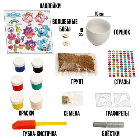 Set for creativity and experiments "Miracle-garden, grow grass" Smeshariki, germinar-1