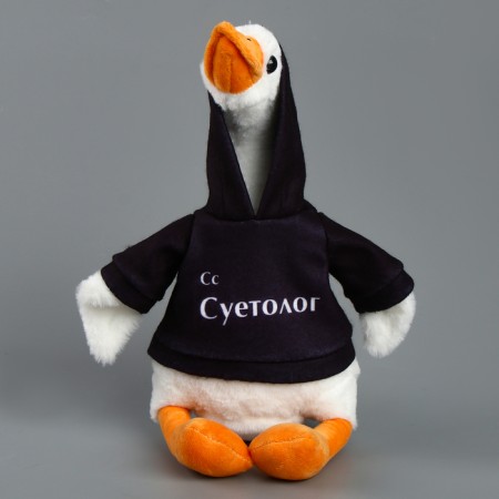 Soft toy "Goose: Suetologist", 35 cm-4