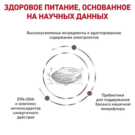Dry food RC GastroinTestinal Hairball Control for Cats, 2 kg-2