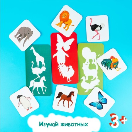 Developing set "Find the Shadow"-2
