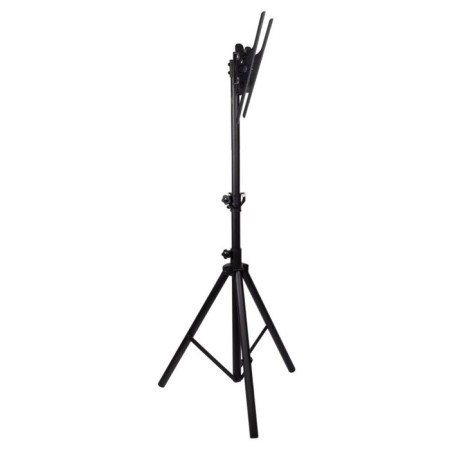 ARM Media TR-Stand-1 Black 26 "-55" Max.35kg floor is fixed 107046-4