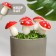 Set of plugs "Mushroom Mukhomorchik" 6x4.5cm, 5pcs