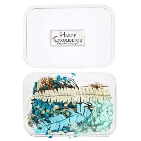 Set for creativity "Set of dry flowers" large, blue