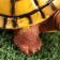Garden figure "Turtle" 11x14x6cm ////