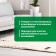 Shampoo for cleaning carpets and upholstered furniture Carpet Shampoo, concentrate, 1 liter