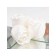 Soap roses, white, set of 9 pcs.