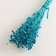 A set of dried flowers "Lenon-long", banch length 55-60 (+/- 6 cm), turquoise
