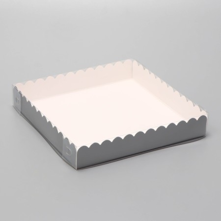 Box for cookies, silver, 18 x 18 x 3 cm-1