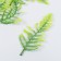 Decor for creativity "Leaves of the forest fern" set 5 pcs Green 15 cm