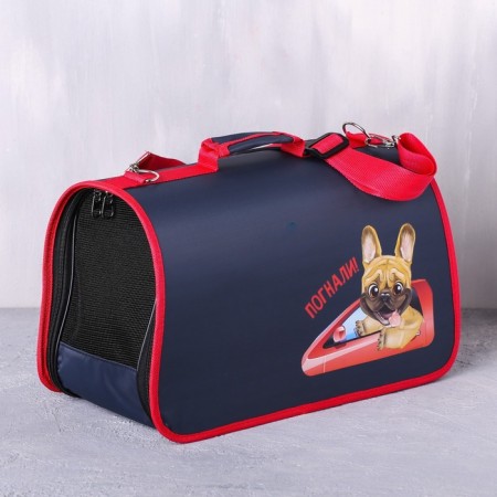Cracking bag folding, frame "drove!" 45x27x20 cm-3
