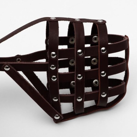 Muzzle No. 3, German shepherd bitch (length 9 cm, muzzle 32 cm), brown-2