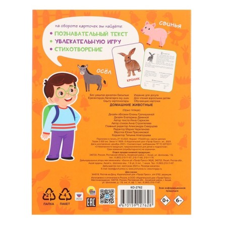 Training cards "Pets"-1