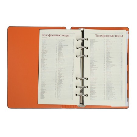 Deliciper of Leduced A5, 120 sheets on Firenze rings, artificial leather cover, block 70g/m2, black-7