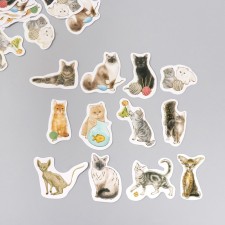 Stickers for the creativity of the 