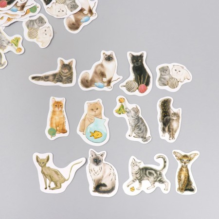 Stickers for the creativity of the "cat breed" embossing gold set 48 pcs 9x7x0.8 cm