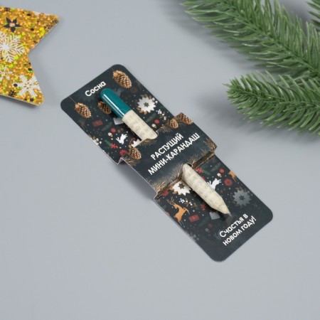 Growing gift pencils Mini "Pine"-1