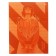 BUST BCT BG A5 64 l orange set, map of cards, lacs Soft-Touch, Eat Lak, BL 60g/m2, 1041753