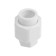 Detailed RTP, polypropylene, d = 20 mm x 1/2 ", internal thread